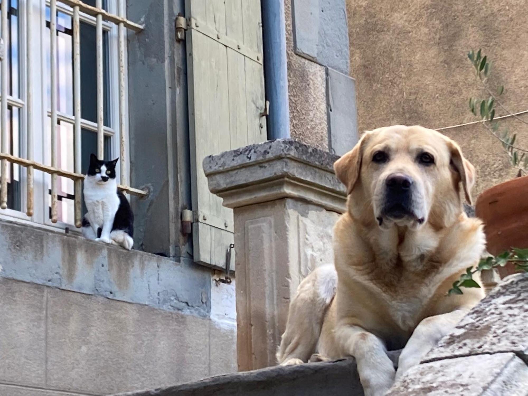 Chambres D'Hotes Le Clos De Venes Saint-Couat-dʼAude Zewnętrze zdjęcie
