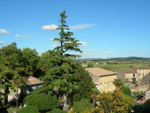 Chambres D'Hotes Le Clos De Venes Saint-Couat-dʼAude Zewnętrze zdjęcie